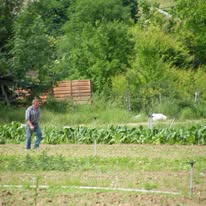 464277120_9400425069973422_4845323719459204173_n